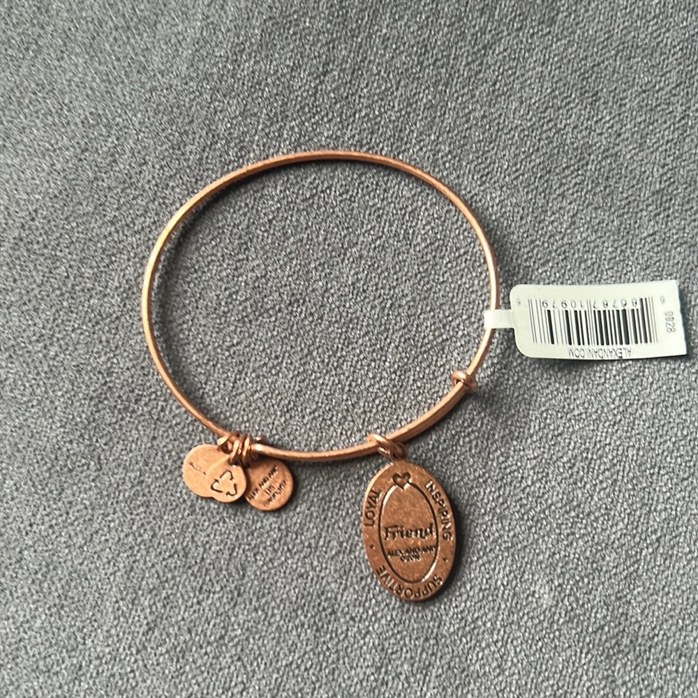 Alex and Ani friends bracelet Nwt